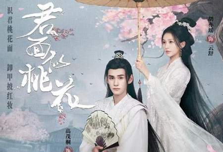 《君面似桃花》第26集剧情介绍，《君面似桃花》第26集讲了什么故事