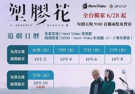 台剧《塑胶花》更新时间表，台剧《塑胶花》追剧时间表