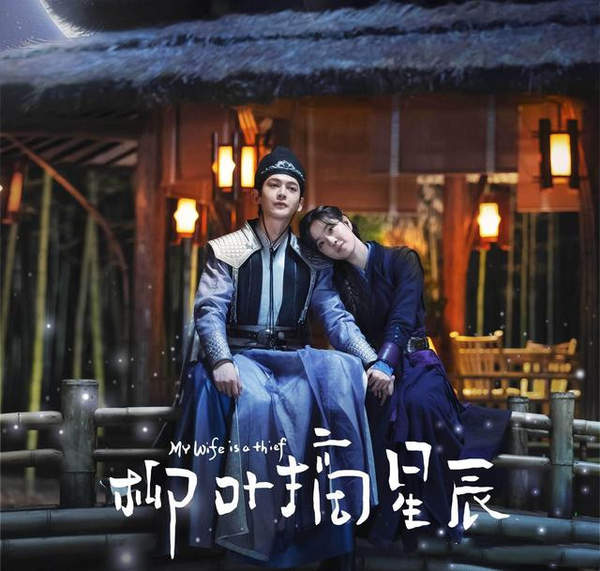 柳叶摘星辰苏锦珍去哪了?好人还是坏人?