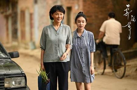 幸福草第7-8集剧情介绍，《幸福草》讲了什么故事
