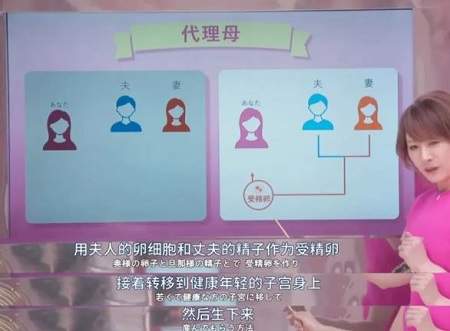 《燕子不再归来》第10集剧情介绍，《燕子不再归来》第10集讲了什么