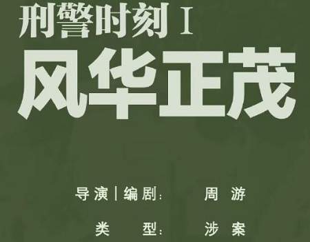 电视剧《刑警时刻1风华正茂》剧情介绍，讲了什么内容