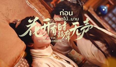 电视剧《花开有时颓靡无声》每周几更新一集？花开有时颓靡无声怎么更新