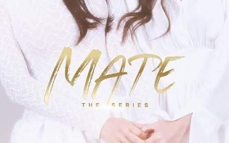 泰剧《Mate the series》改编自什么小说？相关内容介绍