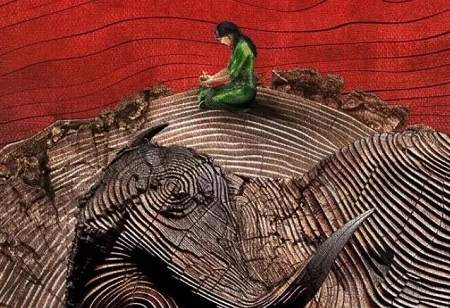生万物电视剧在哪拍？《生万物》拍摄地