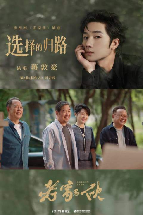 老家伙电视剧剧情介绍大全,大结局分析