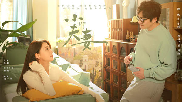 《小夫妻》改编自什么小说？原著小说内容简介