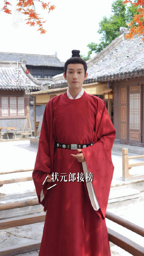 榜上佳婿电视剧剧情详细介绍(包含大结局)