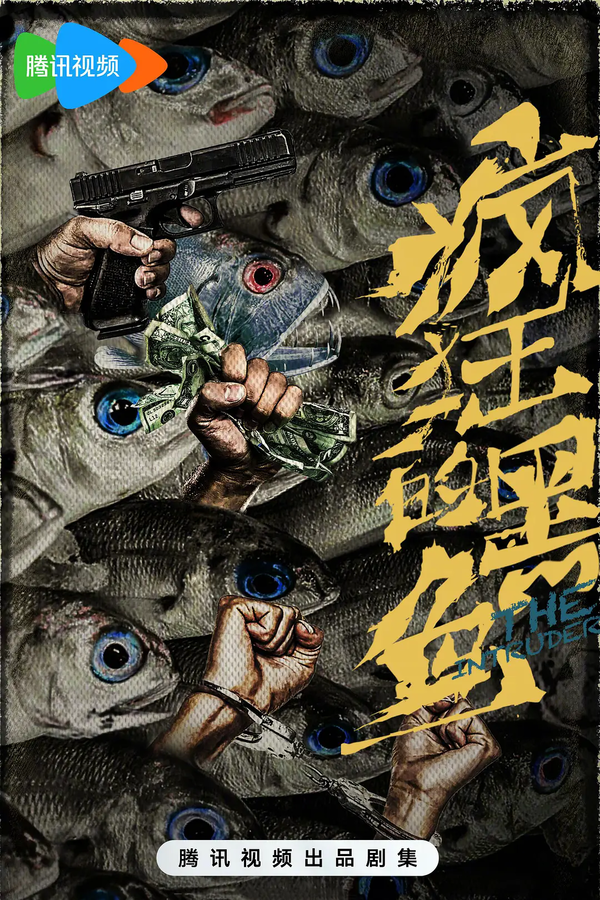 《疯狂的黑鱼》讲了什么故事？《疯狂的黑鱼》剧情介绍