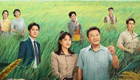 幸福草第7-8集剧情介绍，《幸福草》讲了什么故事