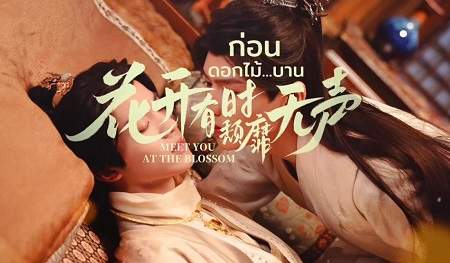 《花开有时颓靡无声》是中文配音吗？配音cv是谁