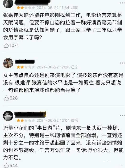 云边有个小卖部电影评价,口碑两极分化