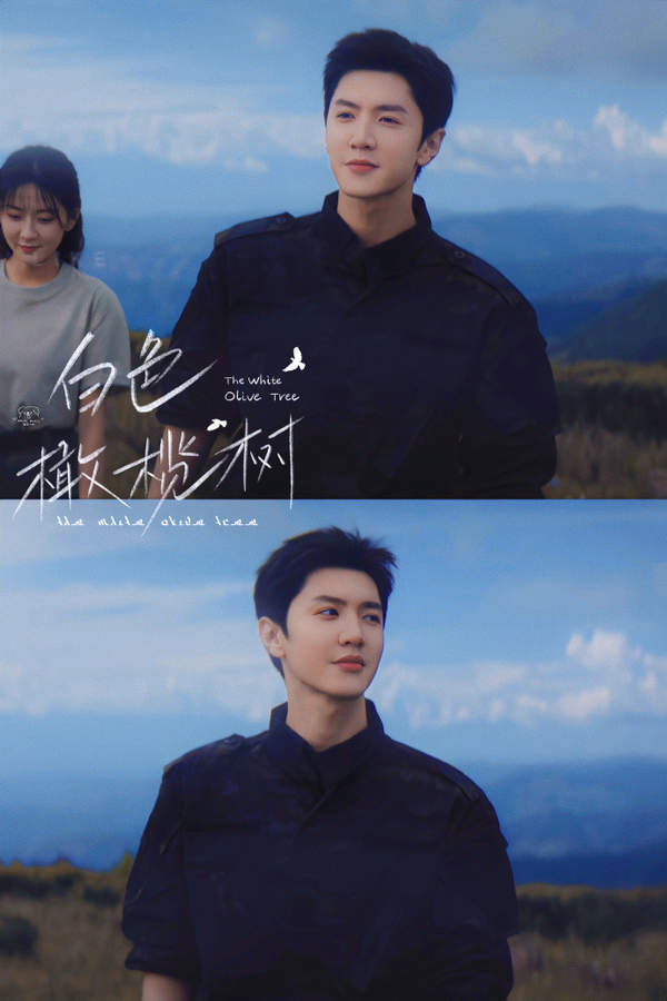 陈哲远、梁洁领衔主演《白色橄榄树》-白色橄榄树电视剧完整版观看