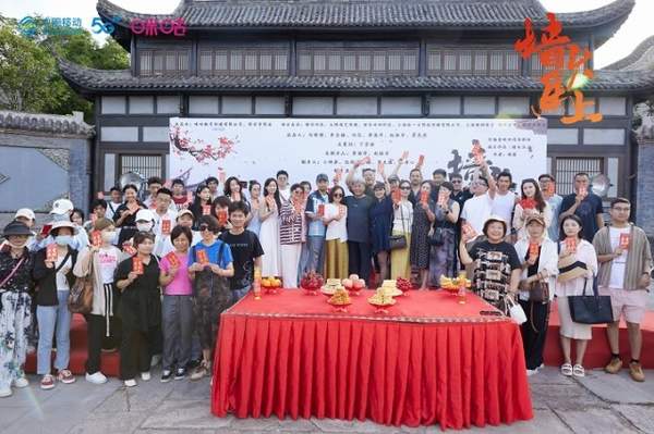 双生神捕之墙头马上什么时候上映?播出时间&追剧日历