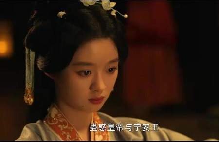 借宁安演员表，《借宁安》演员名单介绍