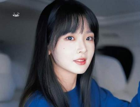 《兄友妹恭》电视剧主演介绍，讲了什么故事