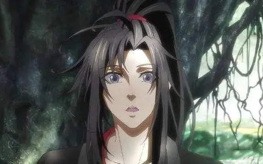 《魔道祖师》:蓝忘机这辈子写的唯一一个错别字是什么?