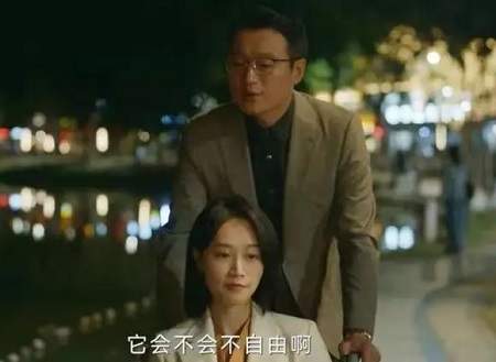 《错位》苏真真为什么接受顾己鸣？《错位》苏真真顾己鸣感情线分析
