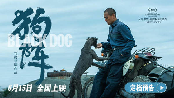 管虎新片《狗阵》上海首映,定档6月