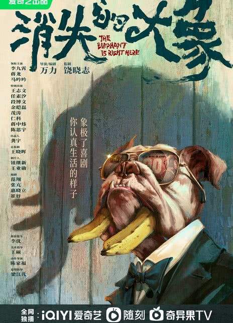 《消失的大象》发布海报,演员表&剧情介绍一览