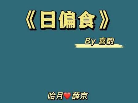 日偏食电视剧原著是什么？《日偏食》原著小说介绍