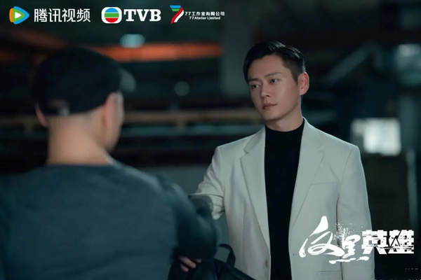 反黑英雄电视剧剧情介绍大全,详细介绍