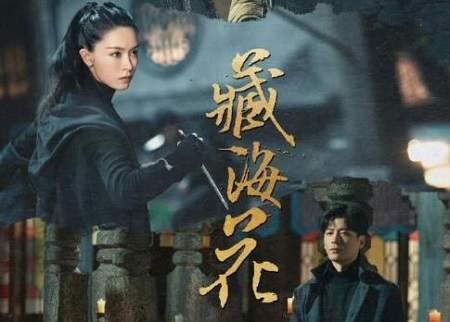 《藏海花》什么时候播出？电视剧《藏海花》剧情介绍