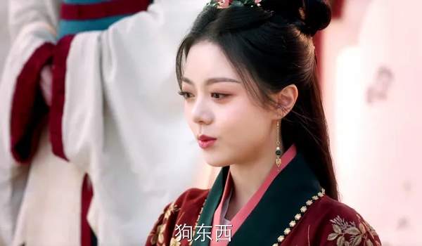 度华年电视剧原著小说是什么?讲述了什么故事？