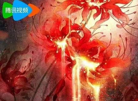 电视剧《缬罗》原著小说介绍？《缬罗》原著讲了什么