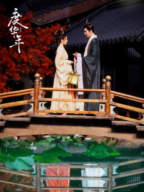 度华年剧情介绍:先婚后爱超好嗑