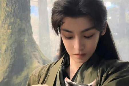 《入青云》原著是什么？《入青云》原著小说介绍