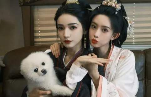 孟子义刘学义桃花映江山8位女主分别是谁？人物角色介绍