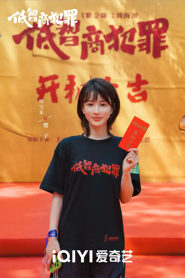 低智商犯罪演员表，低智商犯罪演员阵容