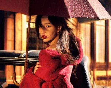 电视剧《独身女人》在哪里看，《独身女人》播出平台