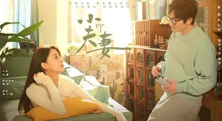 《小夫妻》第13集剧情介绍，《小夫妻》第13集讲了什么