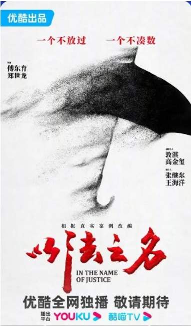 《以法之名》演员表（全部）-《以法之名》主要演员人物解析