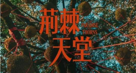 《荆棘天堂》国内什么时候上映，主演都有谁？剧情介绍