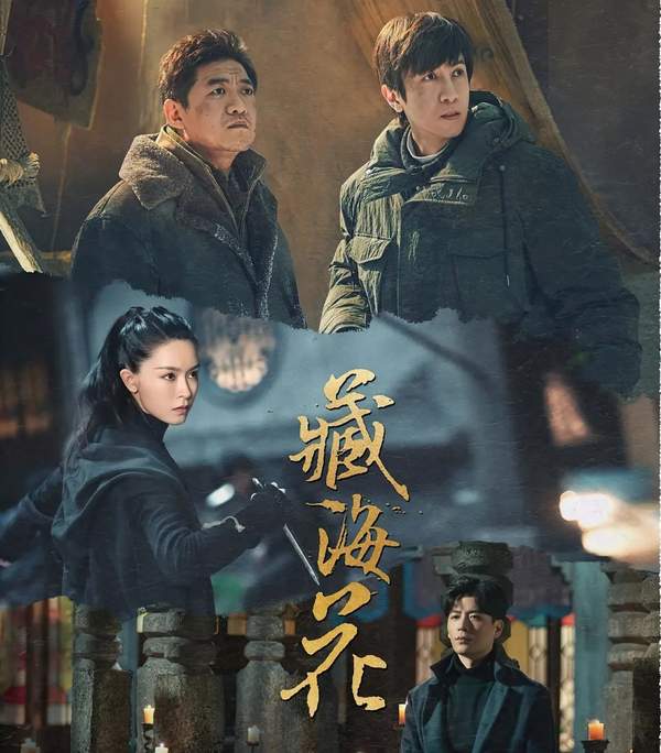 《藏海花》原著小说叫什么，《藏海花》原著小说介绍