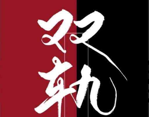 虞书欣《双轨》改编自哪部小说，原著小说剧情介绍
