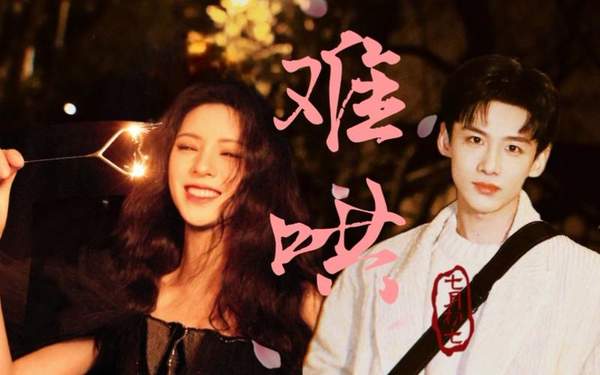 电视剧《难哄》原著小说叫什么？讲的什么剧情?