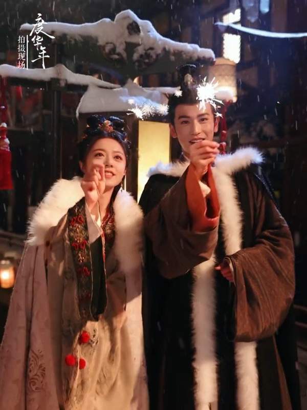 度华年剧情介绍:先婚后爱超好嗑