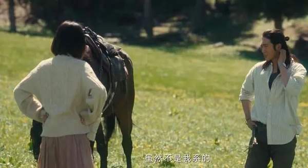 《我的阿勒泰》主要内容:传统游牧民遭遇现代文明