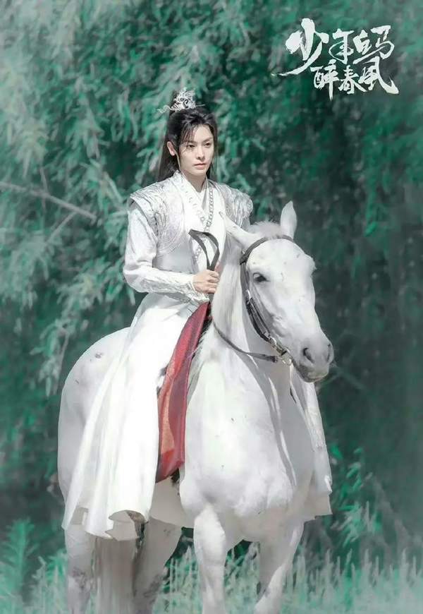 少年白马醉春风电视剧演员表介绍,详细概括