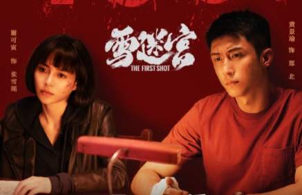 《雪迷宫》郑北郑南两人是什么关系？分别是谁饰演的