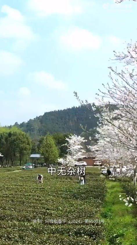 桃花漫漫始盛开短剧在哪拍的？取景地在哪