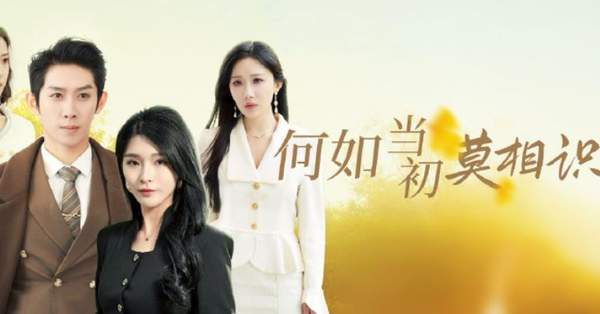 《何如当初莫相识》剧情介绍，讲了什么故事