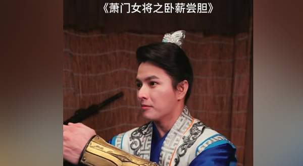 《萧门女将之卧薪尝胆》剧情介绍，主演阵容一览