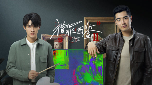 《猎罪图鉴2》在卫视播出吗？