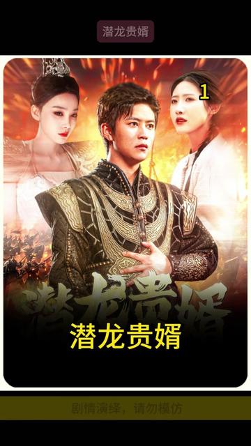 《潜龙贵婿》剧情介绍